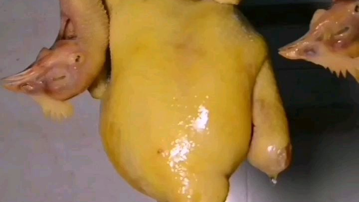 分享白切鸡特点是皮爽滑、肉质嫩